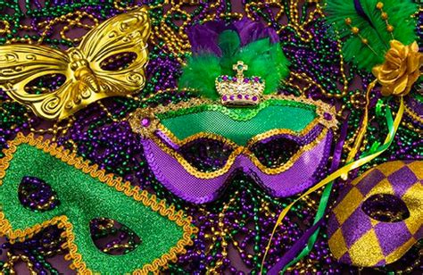 mardi gras porn|mardi gras Search